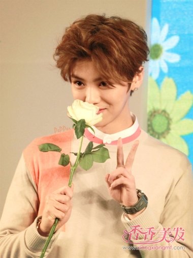 17�꺫��С����˧������ 2017�к����淢��