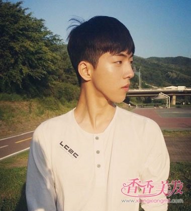 Ϊʲô����������������������� 2017��������ʿ����