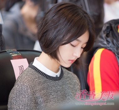 �����밲����˫Ӱ������� �ܶ�����˼��˭������