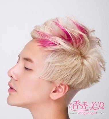 2017���������е�Ⱦͷ ��������Ⱦ���ͼ