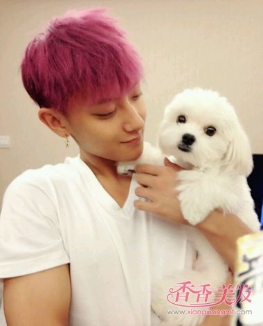 Ⱦ�����е�����Ӱ����� ����ʦȾ������ͼƬ