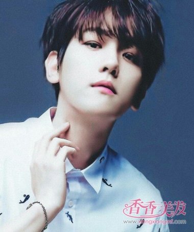 ��Բ�������ʺ�ʲô���� 2018Բ�����з���ͼ