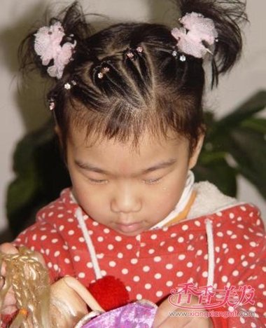 ����������С����ͷ���ÿ� ������ʲôͷ���ȽϺÿ��в�ͬ���ջ��