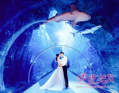 ������ͳ��Ϻ��ĺ������� ��ɫ񷶥��ɴ������