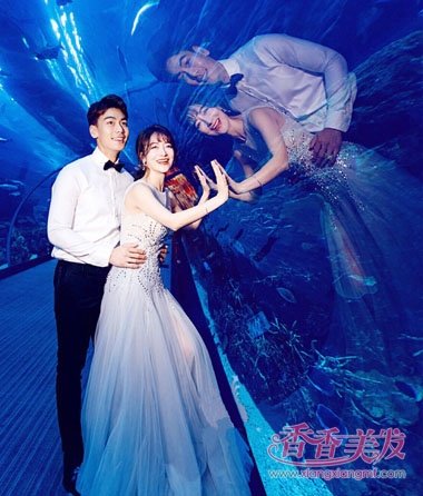 ������ͳ��Ϻ��ĺ������� ��ɫ񷶥��ɴ������