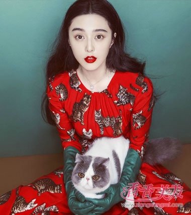 ������Ϊ���̬ �������������ݺ�ɫ�ܾ���