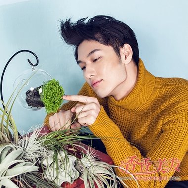 小男生发型设计 男生什么发型显有型