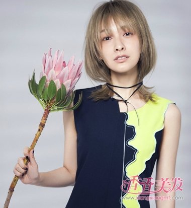 Ԫ������ɫ�� ����꿹���ͮ���������Ⱦ������