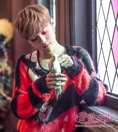 ¹�������׵�ɫ�� ¹��С����Ⱦ�����ͺ��и���