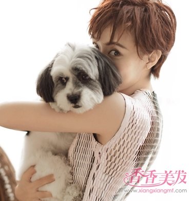 ��ٳ�����˳������ſ��ž�Ц�� �������ٳ��Ƥ���Ŷ̷����ͳ�������Ů