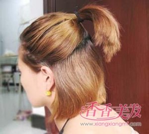 ���Ź��ܹ��̷����� �����̷������̳�