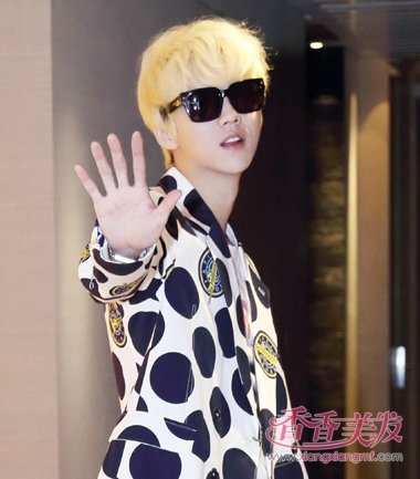 ¹�ϰ�����׿ΰ��ү�Ƕ� 2017¹���¿�Ⱦ������������