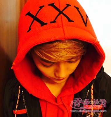 ¹�ϰ�����׿ΰ��ү�Ƕ� 2017¹���¿�Ⱦ������������