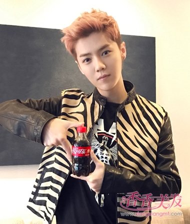 ¹�ϰ�����׿ΰ��ү�Ƕ� 2017¹���¿�Ⱦ������������