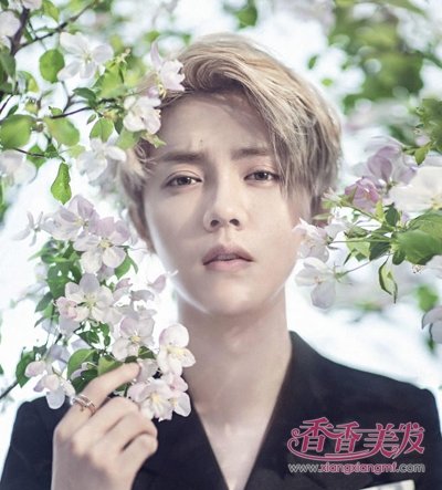 ӣ������������¹��˧���� ¹��Ψ���̷���֪����