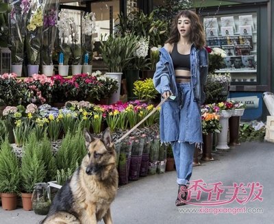 ƫ���г����Ĳ��������Ͷ�� �������ֶ�����Щ�������г�������