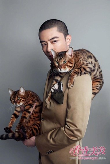 ��ʿ�л����������̷� ˧��ʮ�������д��