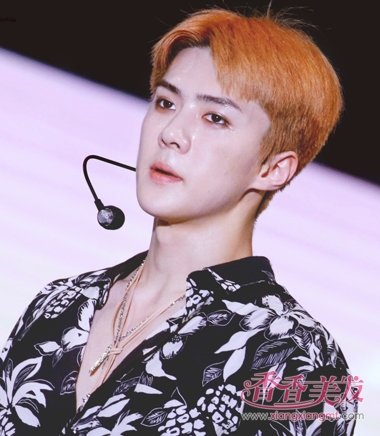 �ƹ�Ҳ�ڲ��˰����ķ�ɫ ����Ⱦ��С����ĸ��ÿ�