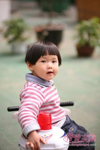 С���㹽ͷ���� �㹽ͷ��ô��