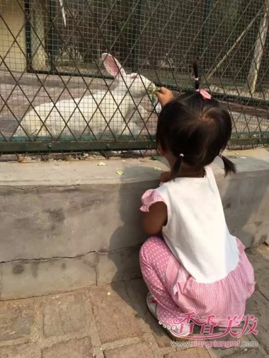 ����ͷ��������С����ôŪ�ÿ� ��ͷ��������С��