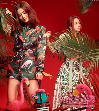 twins������ӡ����װ�� һ�Խ�����緢������