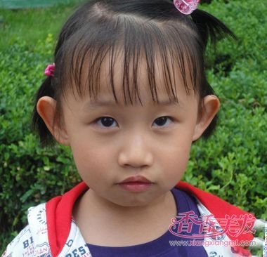 С����Ģ��ͷ����ô�� ��ô��Ģ��ͷ�ÿ���