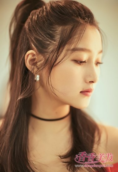 ����ͮ�ṫ��ͷ������ר�� ����������³�������