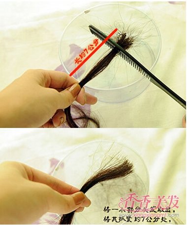 ������Ƭ�ķ���ͼ�� ͷ���������Ƭ