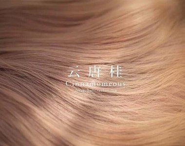 Ⱦ������ײ���й��� ������ϲ����ķ�ɫ����