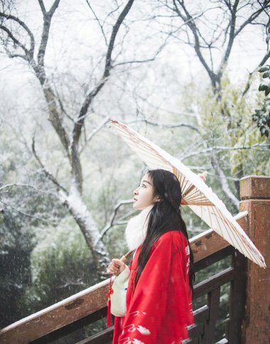 ѩ�����˷��Ϳ�ʽʾ�� ��������벻������