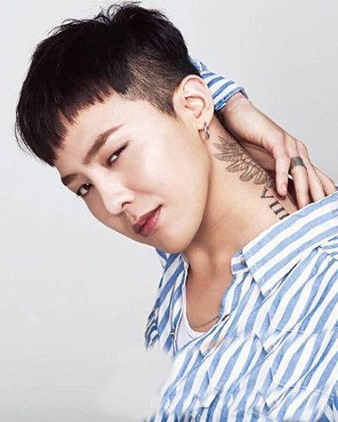 Ģ��ͷ�����ʺ���Щ���� �߸����������̷�ϵ��