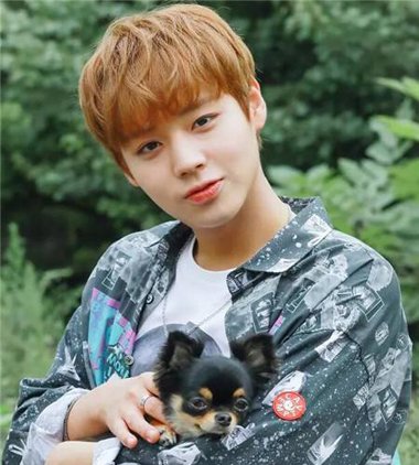 Բ�����������ڷ���ҲҪ������� �⼸�����귢�͸��ʺ�����Բ��