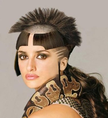 Ů�����ͼ��������� ���̷������߰���������