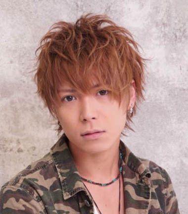 Ӳ������������ϵ����ˣ˧· ��Ƥ��·�������л�����