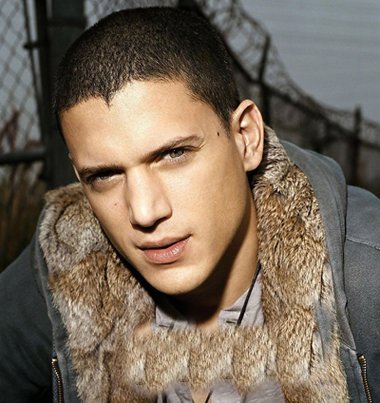 ŷ���������ͷT̨���� ����˧�г��̷�����