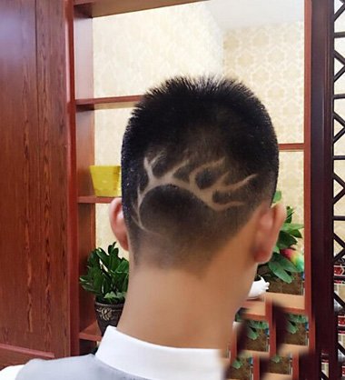 22���������෢�ʹ��� ɭϵ˧�����ж̷�����