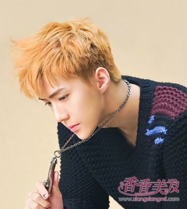 ԭ�������淢ɫ�������� 2018����Ⱦ����ůϵҲҪƯȾ