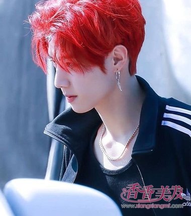 ԭ�������淢ɫ�������� 2018����Ⱦ����ůϵҲҪƯȾ