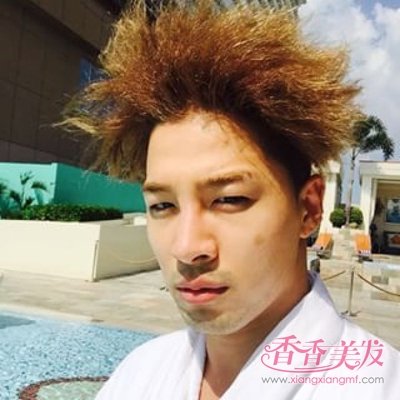 �������ű�ըͷ̫���� ����ʮ���������ըͷ����ͼƬ