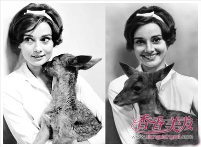 ˿����ô��ͷ����ÿ� ����˿��������������ͼƬ