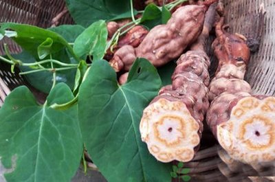 Ů��ͷƤ���ѷ����� ͷƤ�������ѷ���ô��