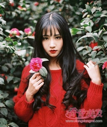 ɭϵ�����ÿ��� ɭϵΨ���糤������