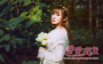 ɭϵ�����ÿ��� ɭϵΨ���糤������