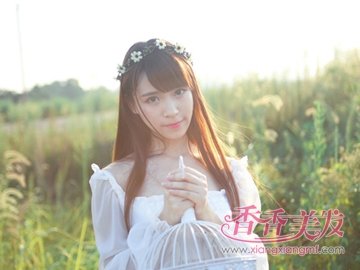 ɭϵ�����ÿ��� ɭϵΨ���糤������