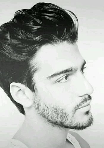 ֣��all back������ ��������all back����