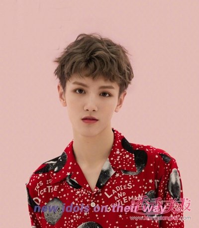 ���������������������� 2018������˧���̷�����