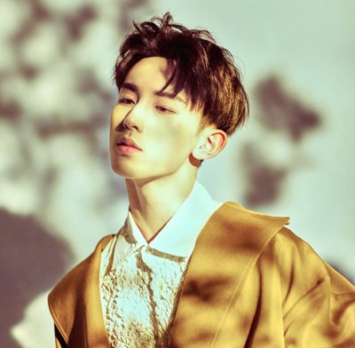 �������ٵ��·��ͺ����� ͷ��������ֵ�ó��Ե����з���