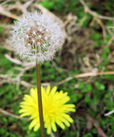 Ůʿ��ͷ����ô���� Сƫ�����Ƶ�ͷ��