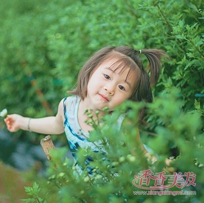 СŮ���ļ�����������Ϯ ��ٿ��������ó���