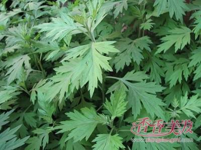 ����ϴͷ�ĺô��뻵������ ���Сƫ��ϴͷ����Ȼ�ô���ô��